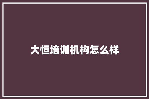 大恒培训机构怎么样