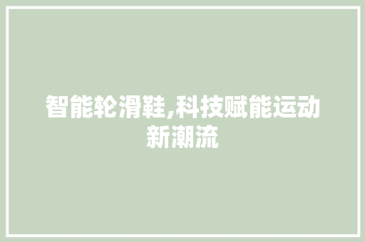 智能轮滑鞋,科技赋能运动新潮流
