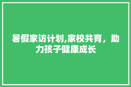 暑假家访计划,家校共育，助力孩子健康成长