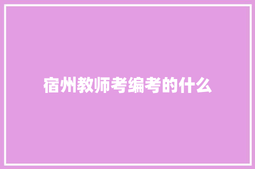宿州教师考编考的什么