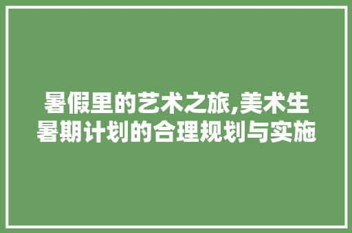 暑假里的艺术之旅,美术生暑期计划的合理规划与实施