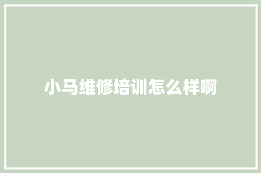 小马维修培训怎么样啊