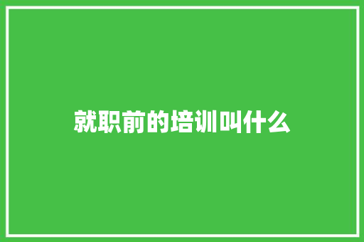 就职前的培训叫什么