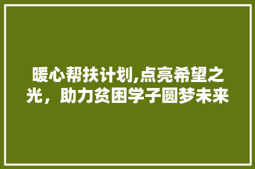 暖心帮扶计划,点亮希望之光，助力贫困学子圆梦未来