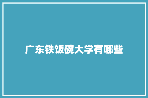 广东铁饭碗大学有哪些
