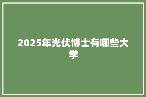 2025年光伏博士有哪些大学