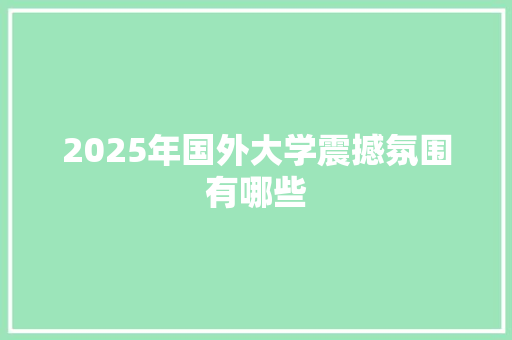 2025年国外大学震撼氛围有哪些 工作总结