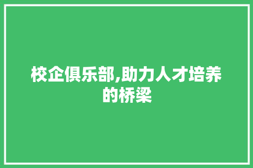 校企俱乐部,助力人才培养的桥梁