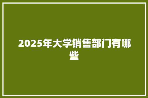 2025年大学销售部门有哪些