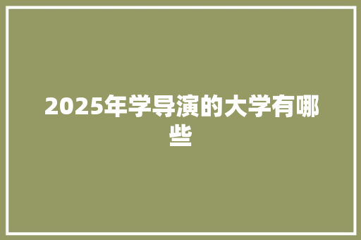 2025年学导演的大学有哪些