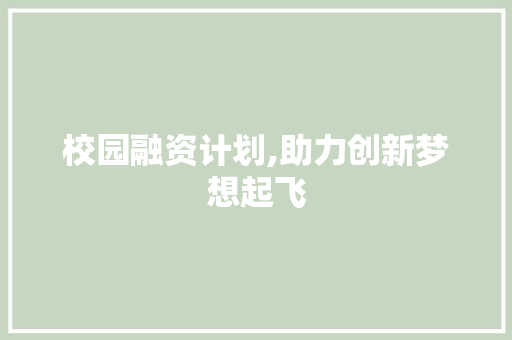 校园融资计划,助力创新梦想起飞