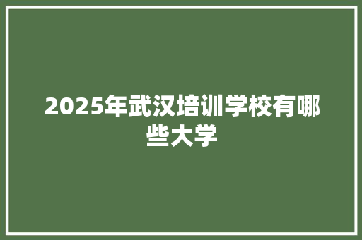 2025年武汉培训学校有哪些大学