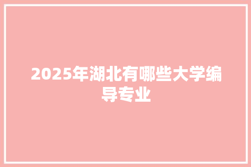 2025年湖北有哪些大学编导专业
