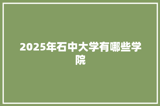 2025年石中大学有哪些学院