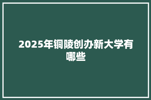 2025年铜陵创办新大学有哪些