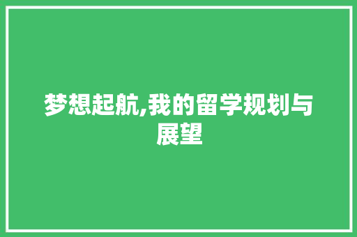 梦想起航,我的留学规划与展望