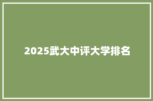 2025武大中评大学排名