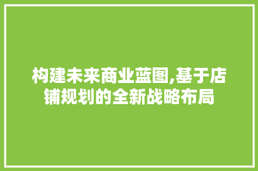 构建未来商业蓝图,基于店铺规划的全新战略布局