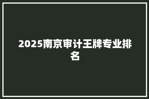 2025南京审计王牌专业排名