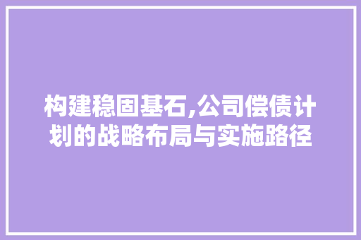 构建稳固基石,公司偿债计划的战略布局与实施路径