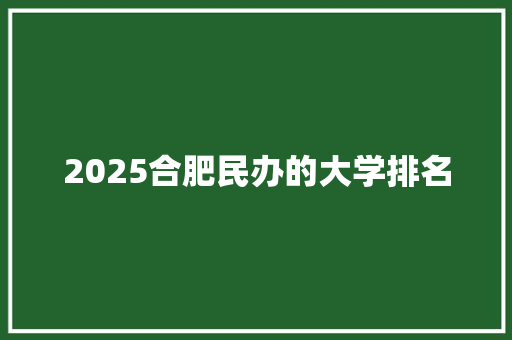 2025合肥民办的大学排名
