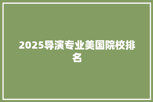 2025导演专业美国院校排名