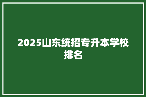 2025山东统招专升本学校排名