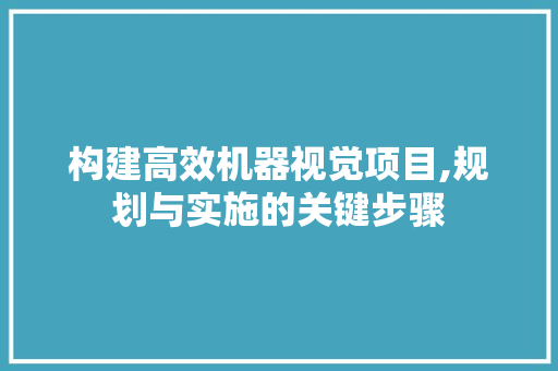 构建高效机器视觉项目,规划与实施的关键步骤