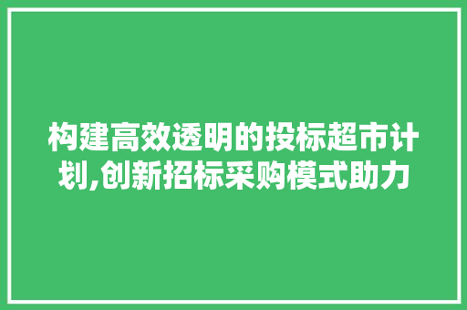 构建高效透明的投标超市计划,创新招标采购模式助力企业发展
