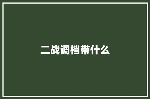 二战调档带什么