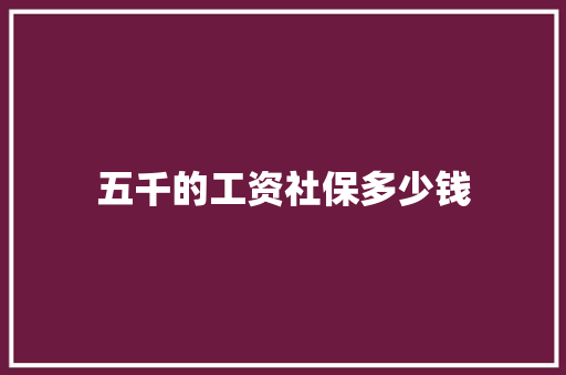 五千的工资社保多少钱