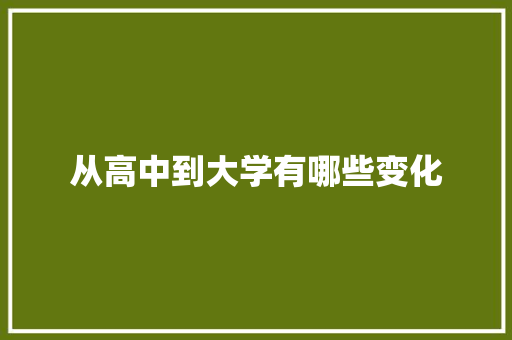 从高中到大学有哪些变化
