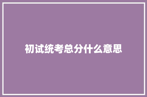 初试统考总分什么意思 特写稿