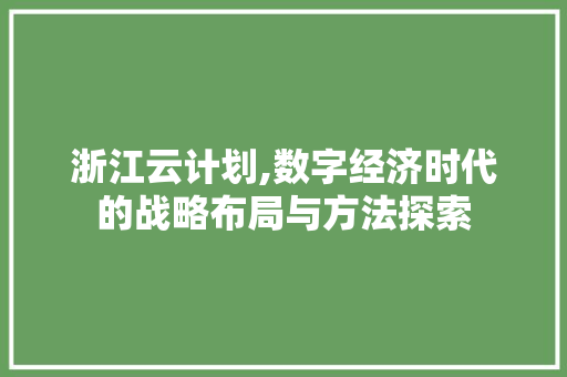 浙江云计划,数字经济时代的战略布局与方法探索