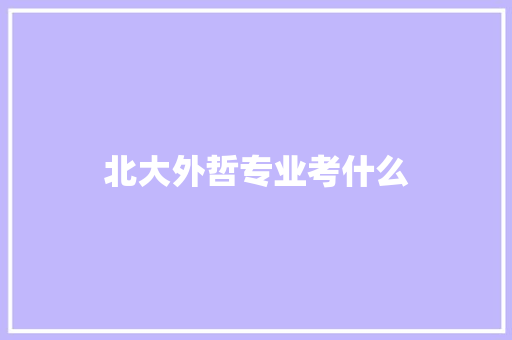 北大外哲专业考什么