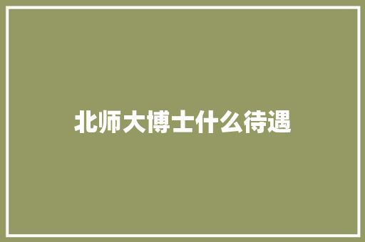 北师大博士什么待遇