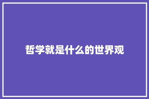 哲学就是什么的世界观