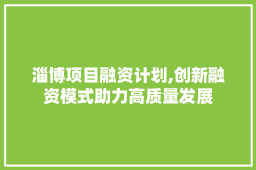 淄博项目融资计划,创新融资模式助力高质量发展