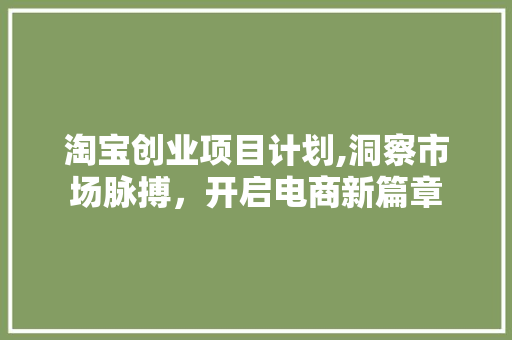 淘宝创业项目计划,洞察市场脉搏，开启电商新篇章