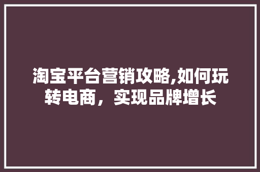 淘宝平台营销攻略,如何玩转电商，实现品牌增长