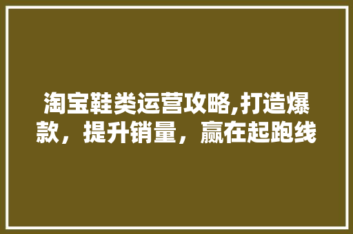 淘宝鞋类运营攻略,打造爆款，提升销量，赢在起跑线！