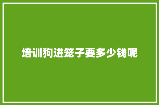 培训狗进笼子要多少钱呢