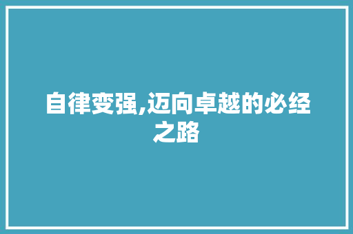 自律变强,迈向卓越的必经之路