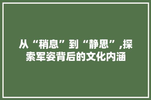 从“稍息”到“静思”,探索军姿背后的文化内涵 商业文稿