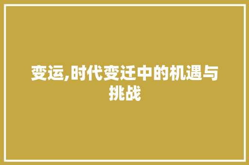 变运,时代变迁中的机遇与挑战 工作报告
