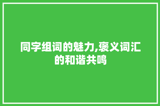同字组词的魅力,褒义词汇的和谐共鸣