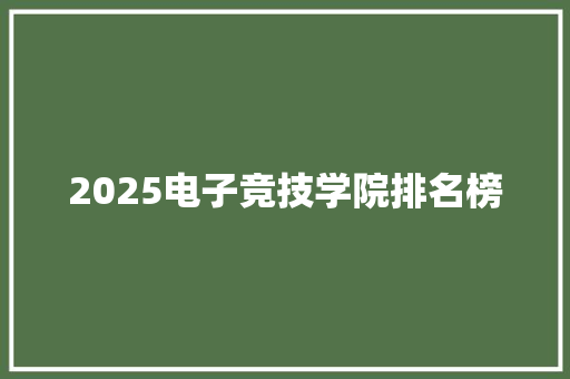 2025电子竞技学院排名榜