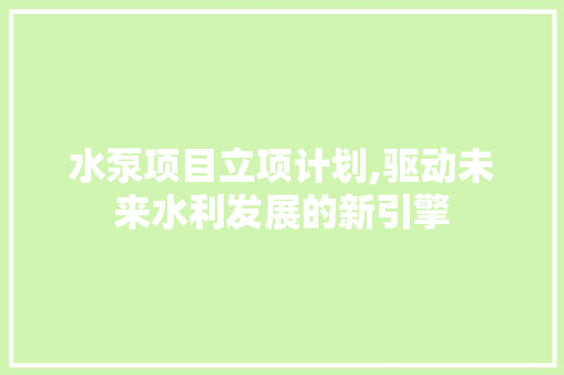 水泵项目立项计划,驱动未来水利发展的新引擎