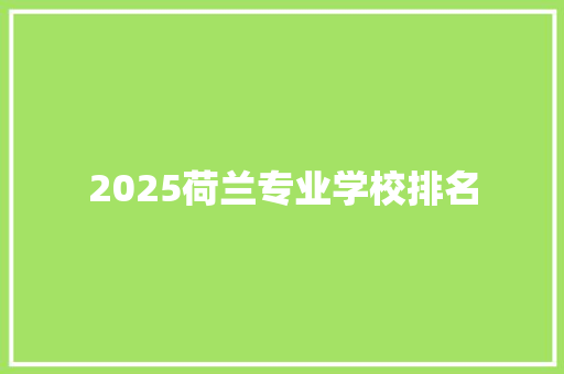 2025荷兰专业学校排名