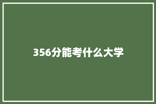 356分能考什么大学